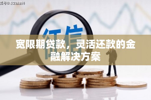 芦洲宽限期贷款，灵活还款的金融解决方案