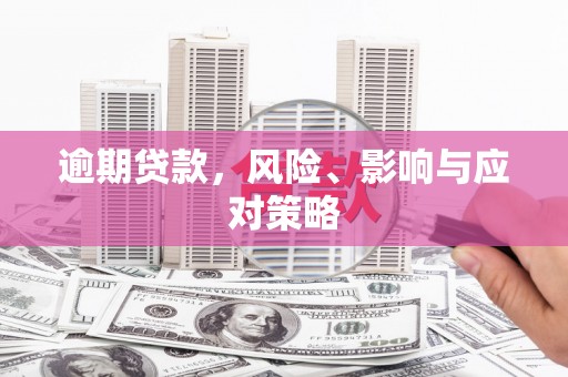 芦洲逾期贷款，风险、影响与应对策略