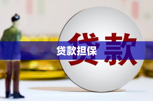 芦洲贷款担保