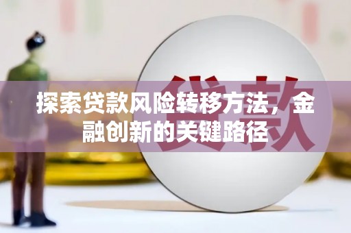 芦洲探索贷款风险转移方法，金融创新的关键路径