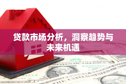 芦洲贷款市场分析，洞察趋势与未来机遇