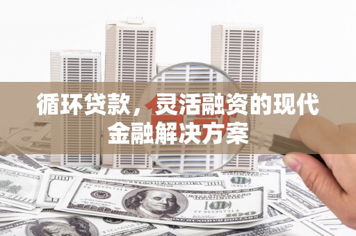 芦洲循环贷款，灵活融资的现代金融解决方案