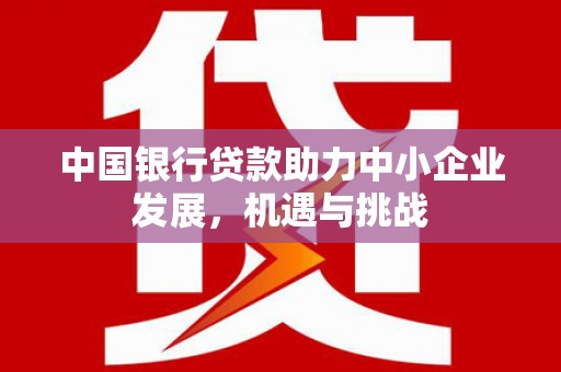 芦洲中国银行贷款助力中小企业发展，机遇与挑战