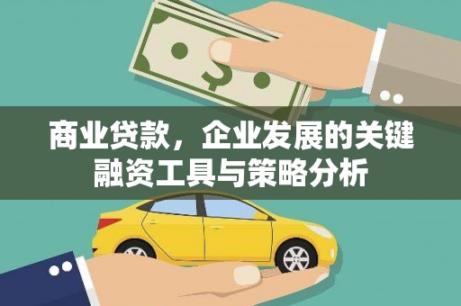 芦洲商业贷款，企业发展的关键融资工具与策略分析