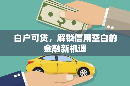 芦洲白户可贷，解锁信用空白的金融新机遇
