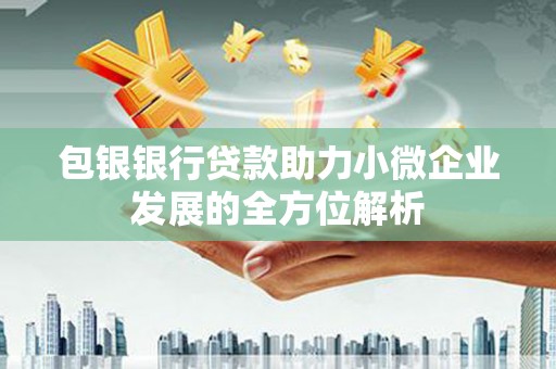 芦洲包银银行贷款助力小微企业发展的全方位解析