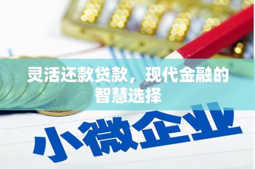 芦洲灵活还款贷款，现代金融的智慧选择