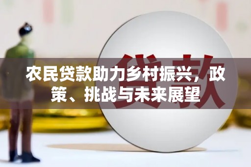 芦洲农民贷款助力乡村振兴，政策、挑战与未来展望