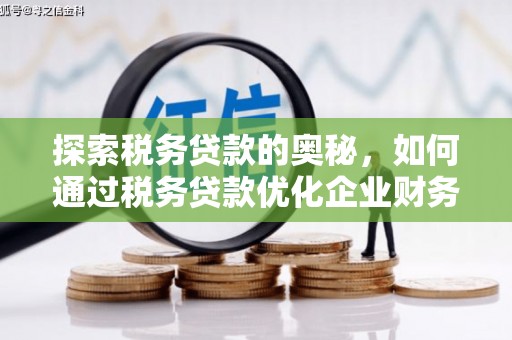 芦洲探索税务贷款的奥秘，如何通过税务贷款优化企业财务