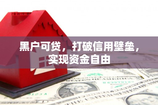芦洲黑户可贷，打破信用壁垒，实现资金自由
