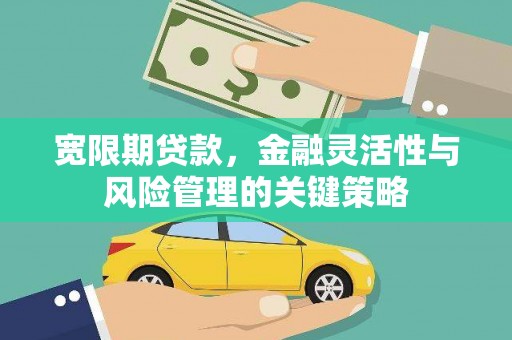 芦洲宽限期贷款，金融灵活性与风险管理的关键策略
