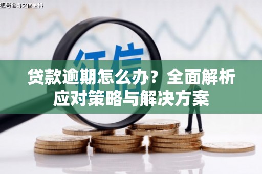 芦洲贷款逾期怎么办？全面解析应对策略与解决方案