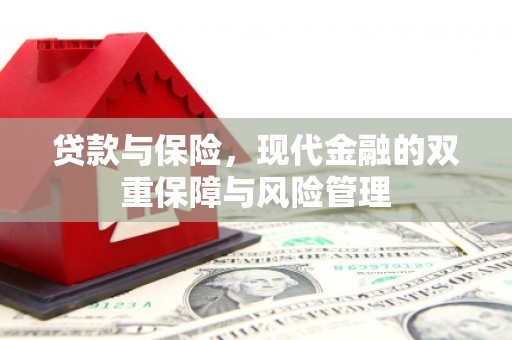 芦洲贷款与保险，现代金融的双重保障与风险管理
