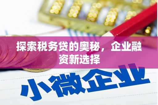 芦洲探索税务贷的奥秘，企业融资新选择