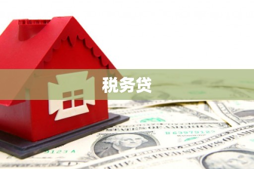 芦洲税务贷