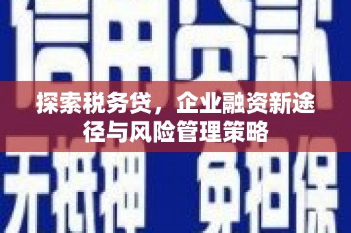 芦洲探索税务贷，企业融资新途径与风险管理策略