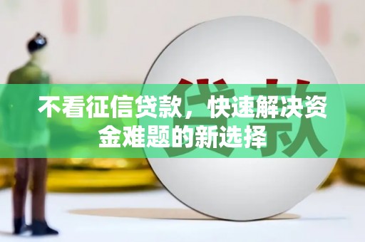 芦洲不看征信贷款，快速解决资金难题的新选择
