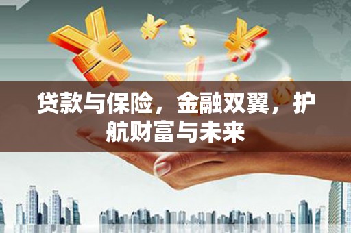 芦洲贷款与保险，金融双翼，护航财富与未来