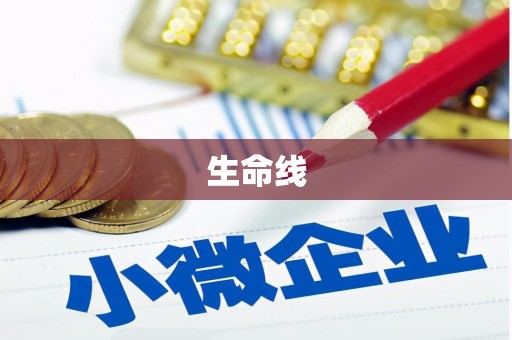 芦洲生命线