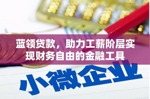 芦洲蓝领贷款，助力工薪阶层实现财务自由的金融工具