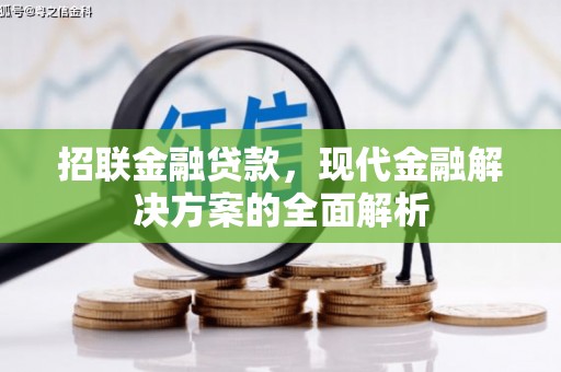 芦洲招联金融贷款，现代金融解决方案的全面解析