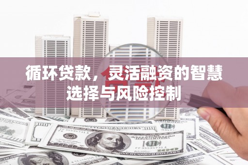 芦洲循环贷款，灵活融资的智慧选择与风险控制