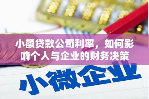 芦洲小额贷款公司利率，如何影响个人与企业的财务决策