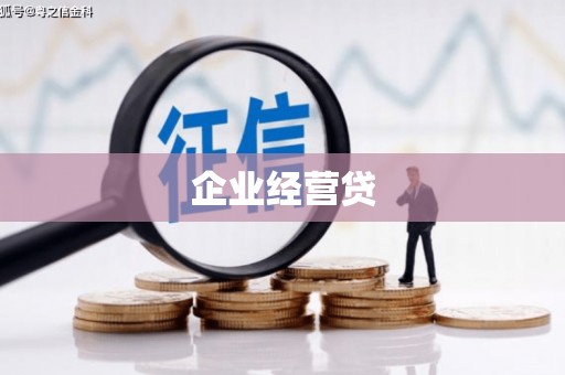 芦洲企业经营贷