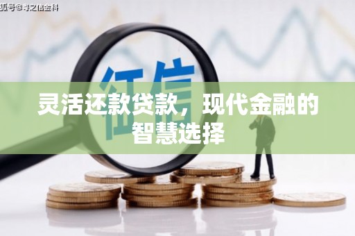 芦洲灵活还款贷款，现代金融的智慧选择