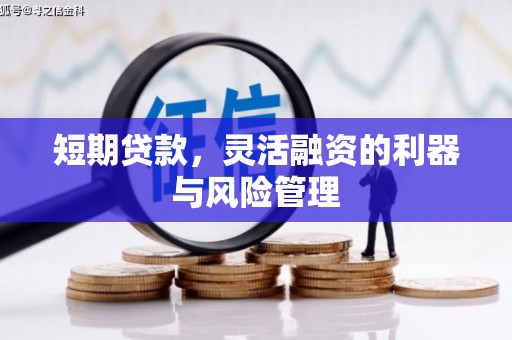 芦洲短期贷款，灵活融资的利器与风险管理