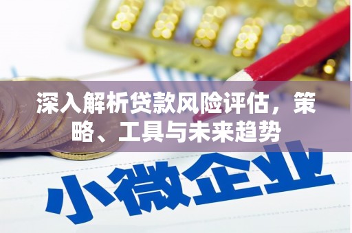 芦洲深入解析贷款风险评估，策略、工具与未来趋势
