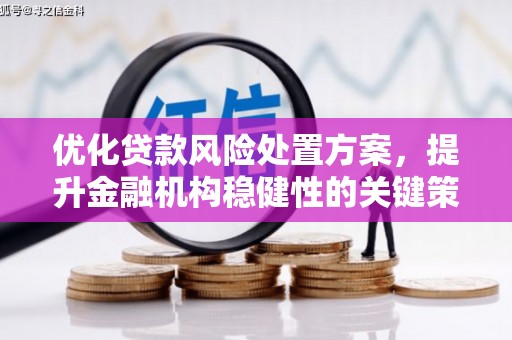 芦洲优化贷款风险处置方案，提升金融机构稳健性的关键策略