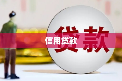 芦洲信用贷款