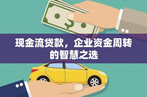 芦洲现金流贷款，企业资金周转的智慧之选