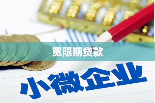 芦洲宽限期贷款