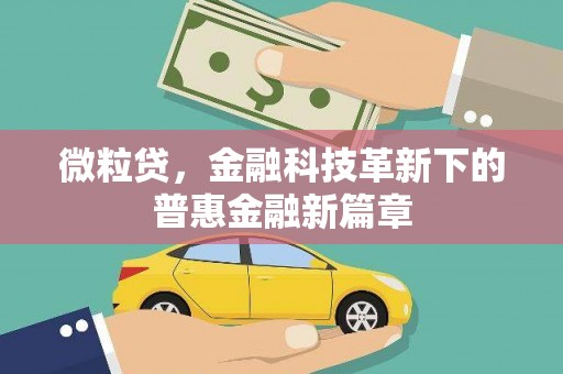 芦洲微粒贷，金融科技革新下的普惠金融新篇章