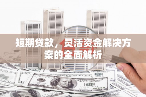 芦洲短期贷款，灵活资金解决方案的全面解析