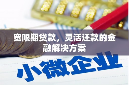 芦洲宽限期贷款，灵活还款的金融解决方案