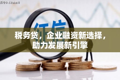 芦洲税务贷，企业融资新选择，助力发展新引擎
