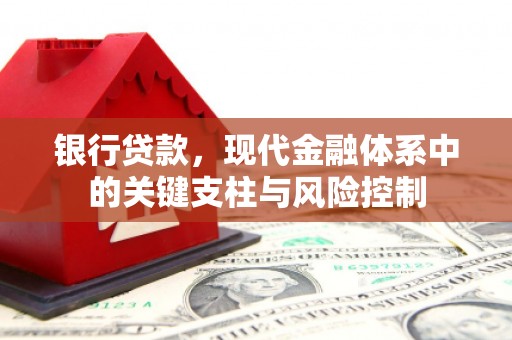 芦洲银行贷款，现代金融体系中的关键支柱与风险控制