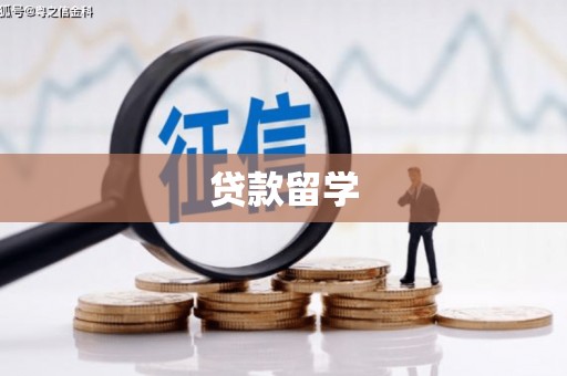 芦洲贷款留学