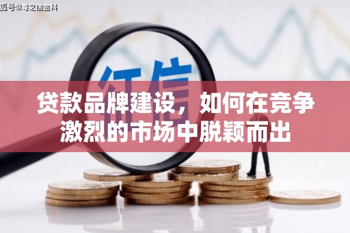 芦洲贷款品牌建设，如何在竞争激烈的市场中脱颖而出
