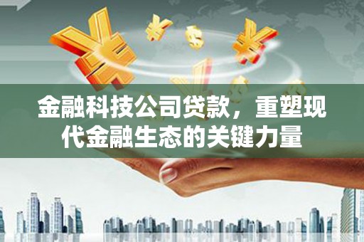 芦洲金融科技公司贷款，重塑现代金融生态的关键力量