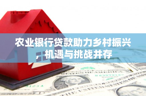 芦洲农业银行贷款助力乡村振兴，机遇与挑战并存