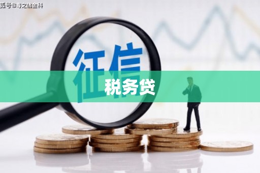 芦洲税务贷