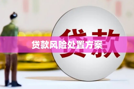 芦洲贷款风险处置方案