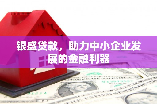 芦洲银盛贷款，助力中小企业发展的金融利器