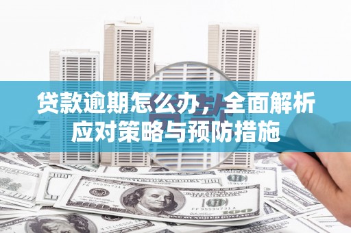 芦洲贷款逾期怎么办，全面解析应对策略与预防措施