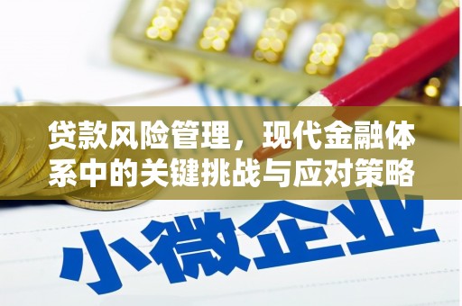芦洲贷款风险管理，现代金融体系中的关键挑战与应对策略