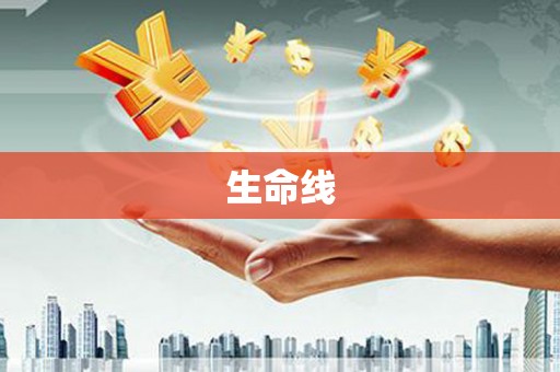 芦洲生命线